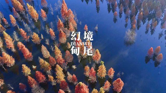 热苏斯:中场时阿尔特塔让我们继续努力,下半场球队更多控制比赛